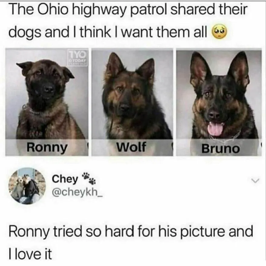 397565708 2271803563152815 433946893277484705 N 65E19B1Ea8Be3 880