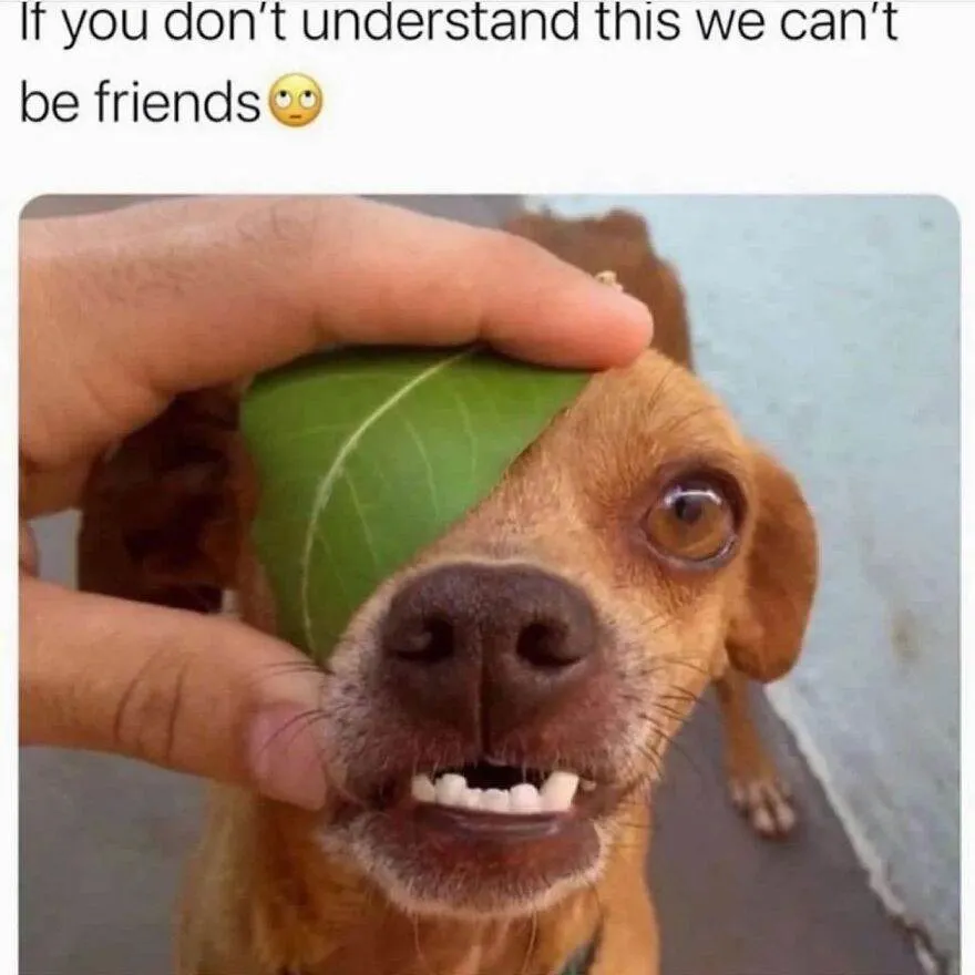 398998640 861483178818085 1716016865730693050 N 65E19Befb9Ef5 880