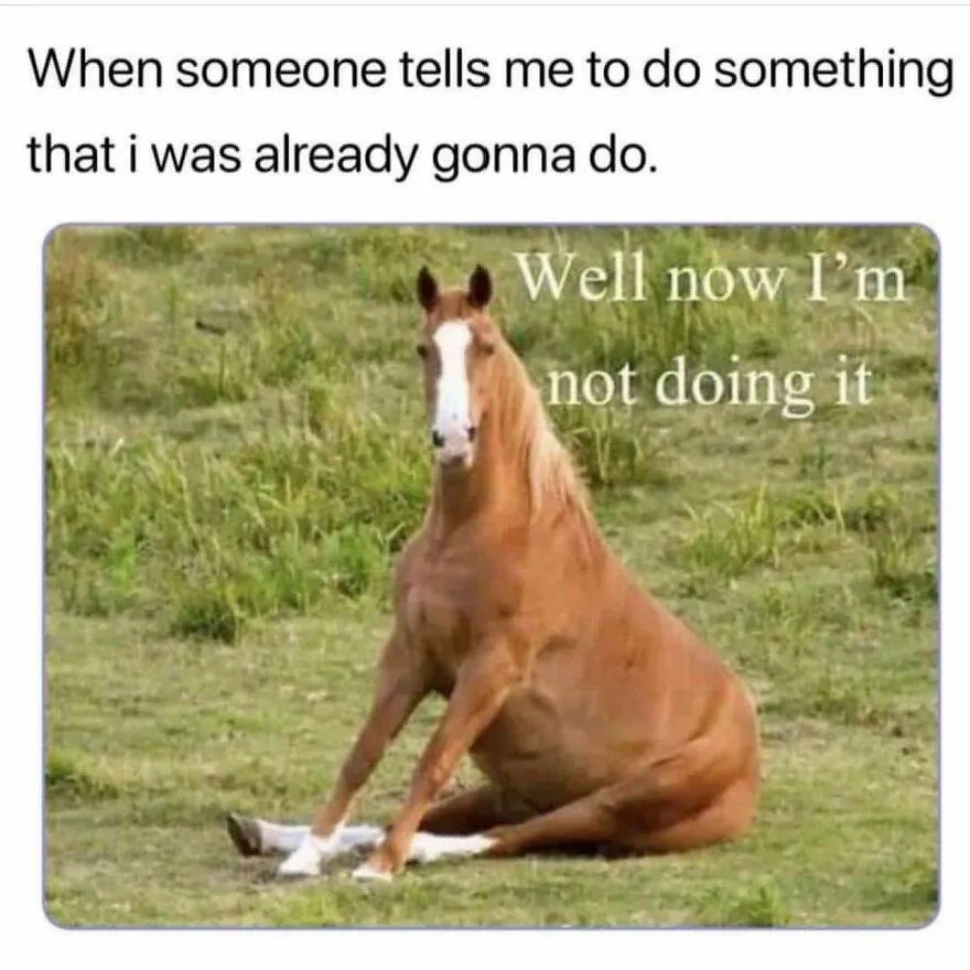 45 65E1A16D59F91 880