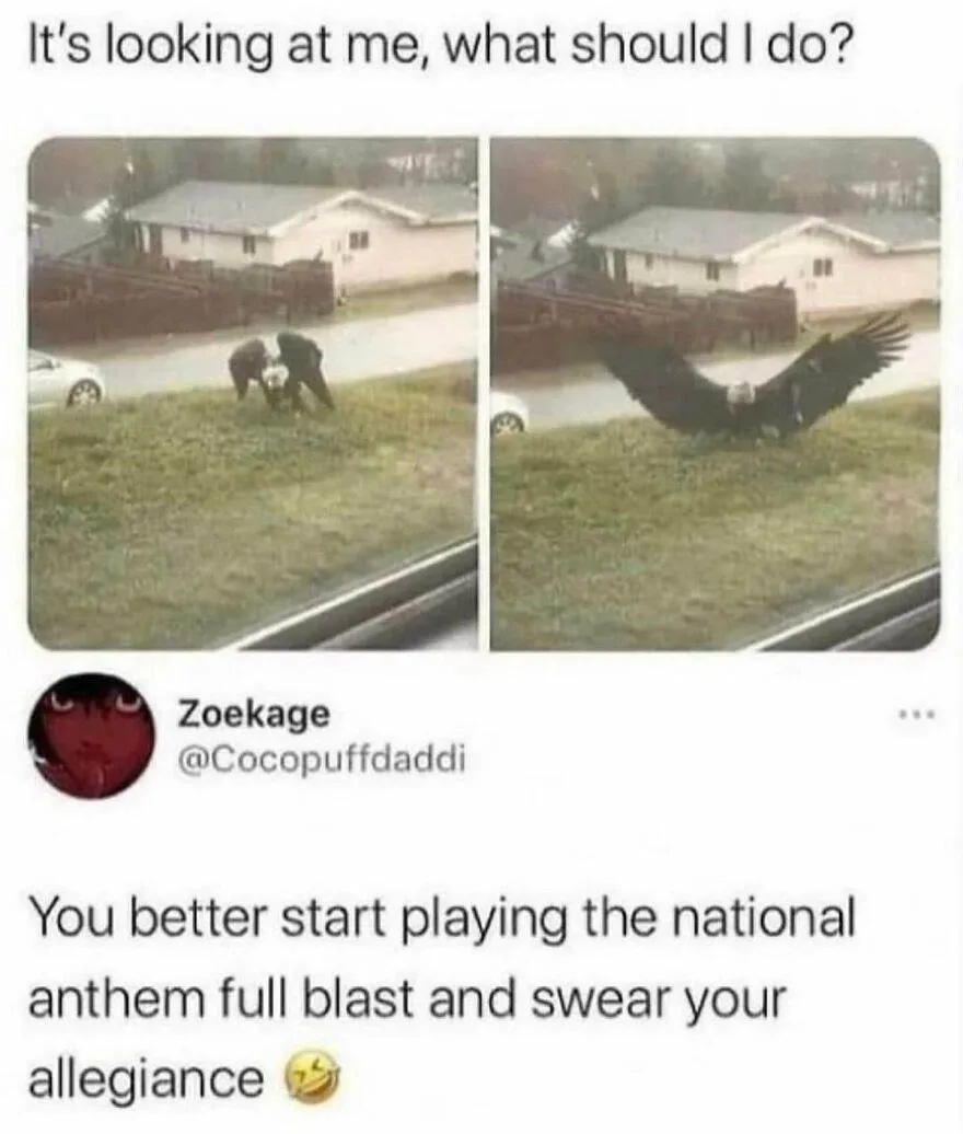 30 Delightful And Humorous Encounters Involving Animals