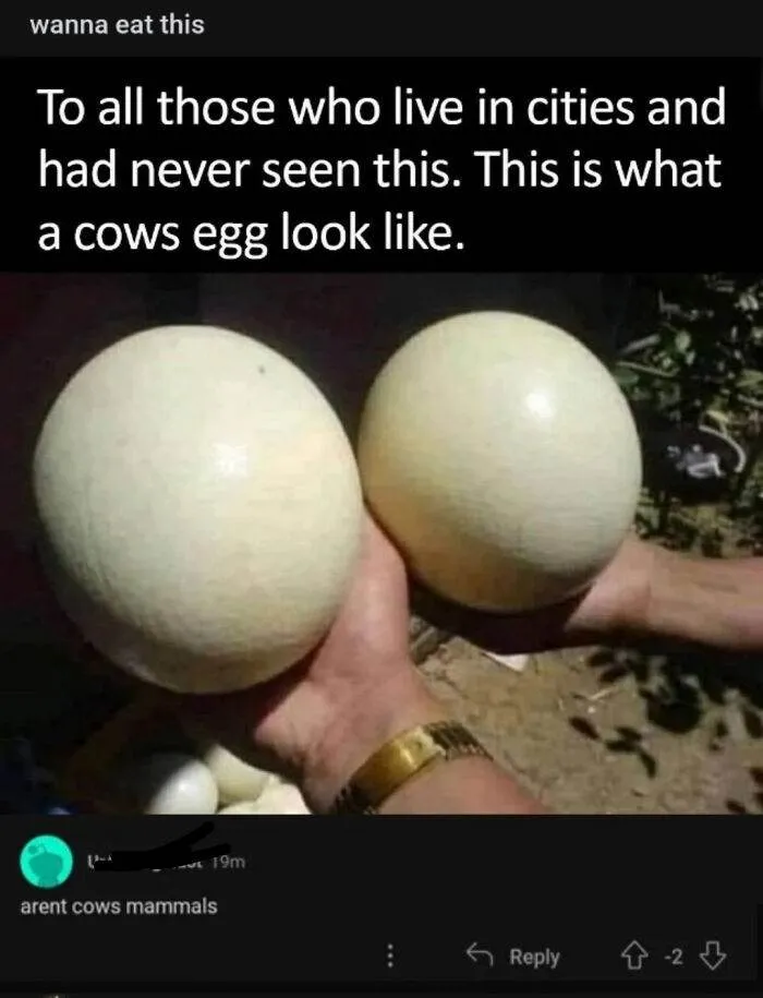 30 Hilarious Overconfident Individuals Missing The Joke