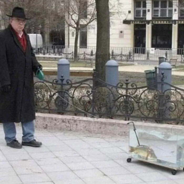 65F43A81918Da Cursed Photographs