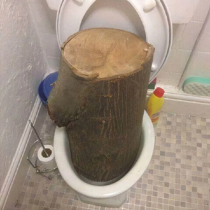 65F43D20B8F04 Cursed Photographs