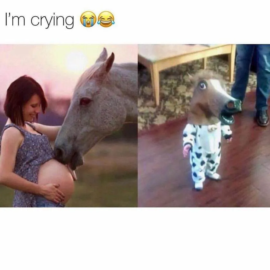 79 65E1Aaefc4B79 880