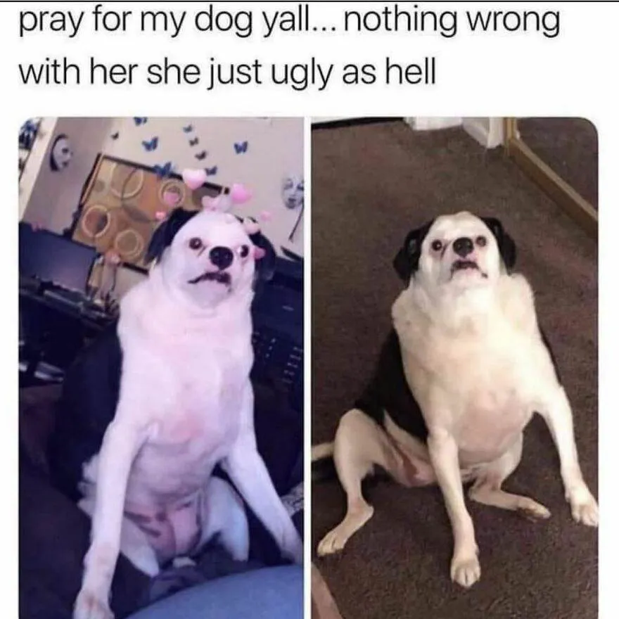 89 65E1Ad0E4F984 880