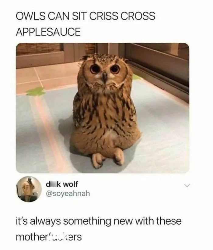 C0S1Zj6Lfqx Png Censored 700