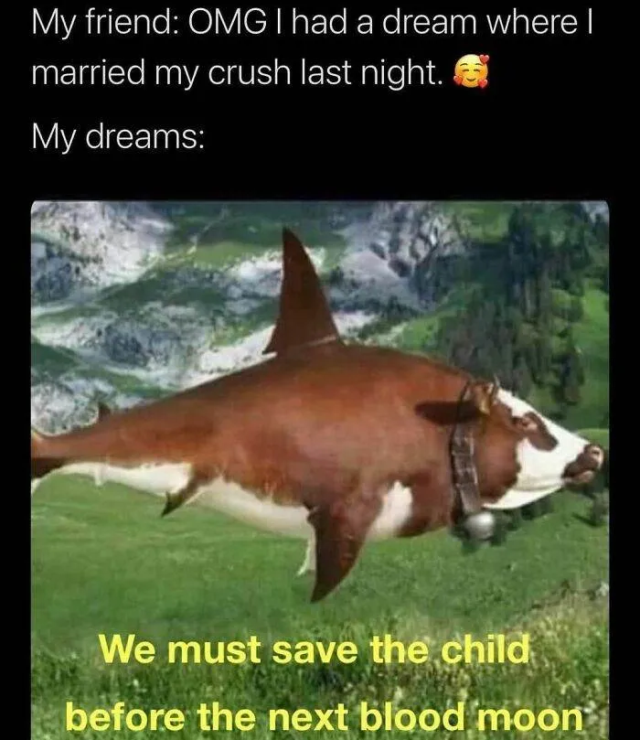 30 Timeless And Amusing Memes