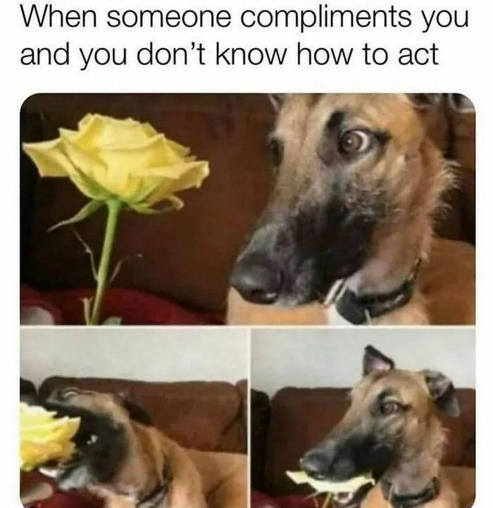 30 Memes Perfect For Those Who Can Barely Keep It Together