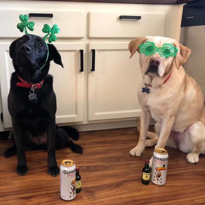 Musthaveaccessoriesforsaintpatricksday8 65E19F92E33Ce 700