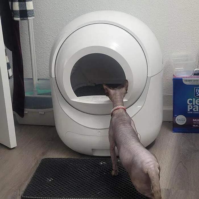 Springcleaningitemswithdiscounts21 65F05Dde5C208 700