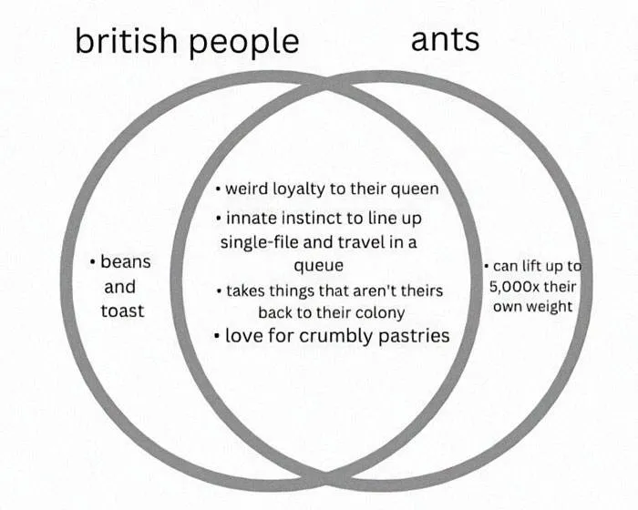 Funny British Humor Memes 31 65F1A0Fd9D48C 700