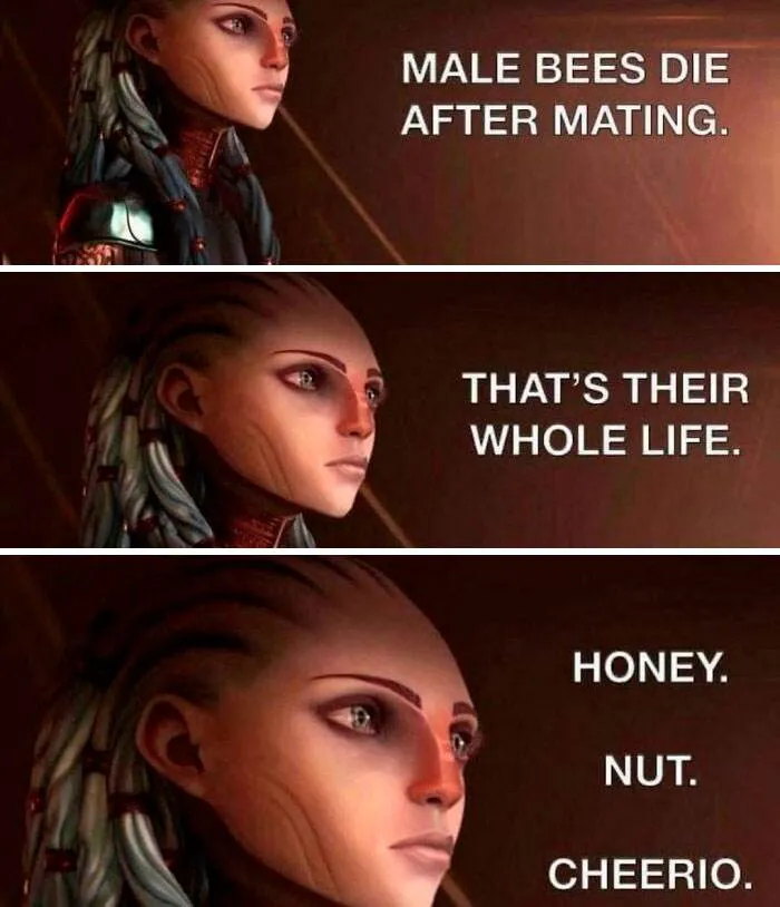 Funny British Humor Memes 36 65F1B42A6Ea74 700