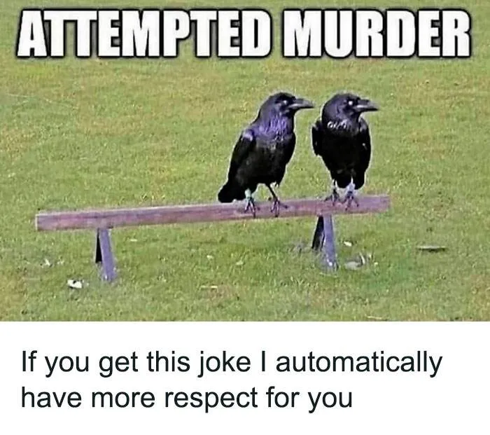 Funny Relatable Animal Memes 30 65E970A13Adf2 700