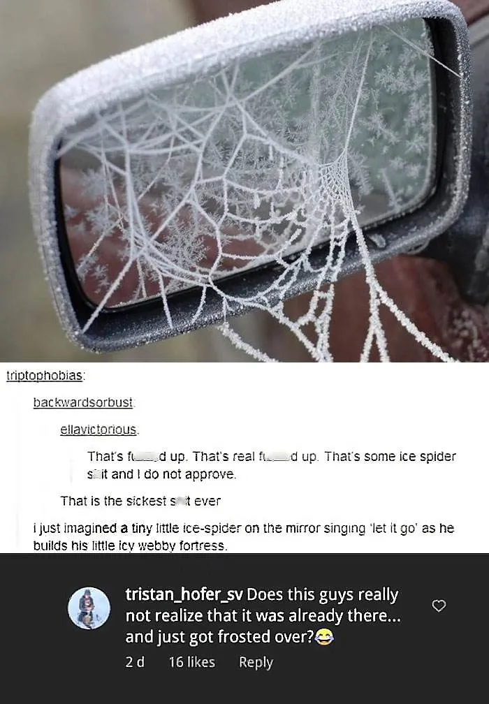 People Who Did Not Get The Joke 20 65F98D0B640A1 700