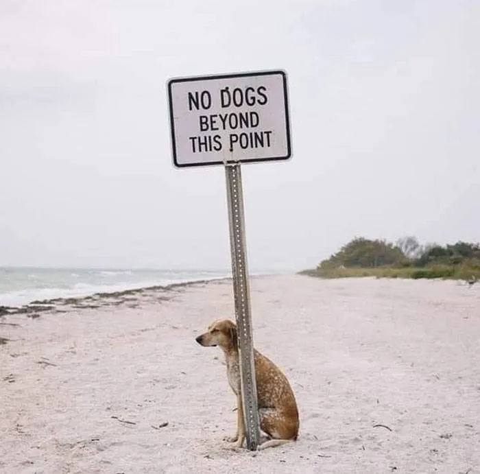 Really Funny Signs 14 65E1Ea87D6E69 700