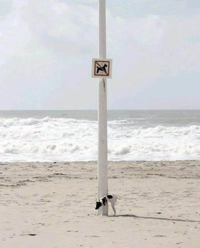 Really Funny Signs 65E1A98F38A5A 700