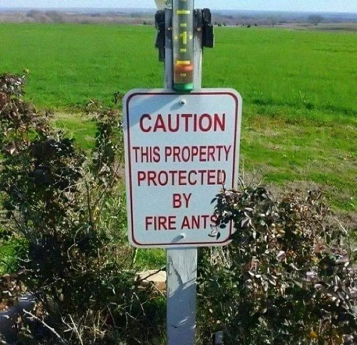 Really Funny Signs 8 65E1E7C6A698D 700