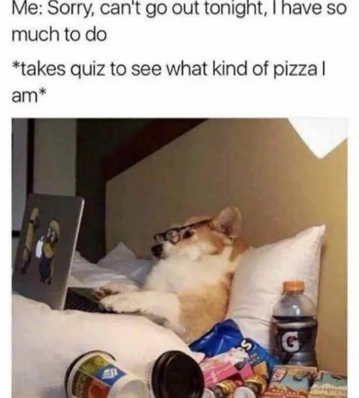 So Relatable Funny Memes 79 65F2B09B9B0Fb 700