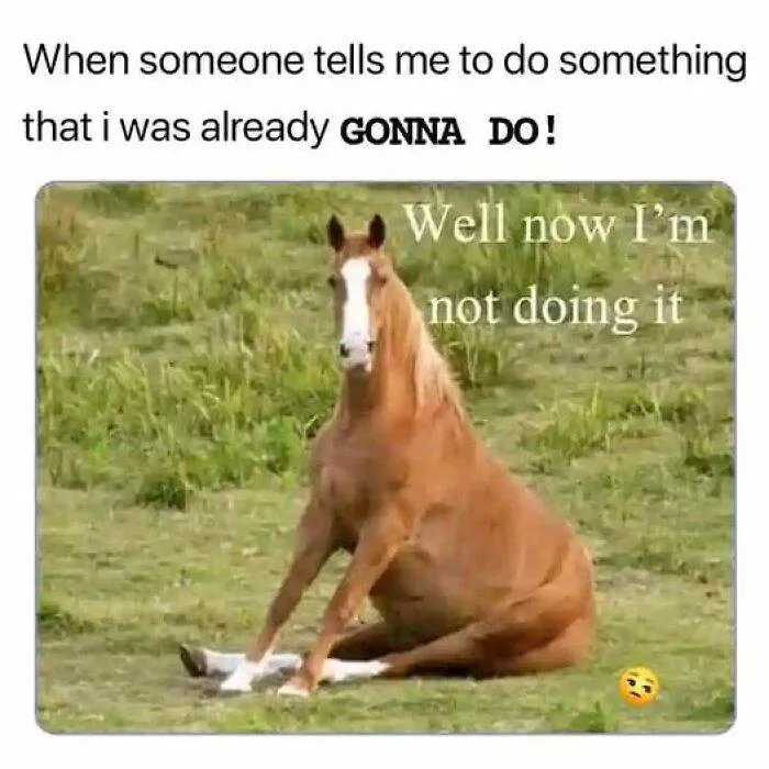 So Relatable Funny Memes 93 65F2B0B99B4F0 700