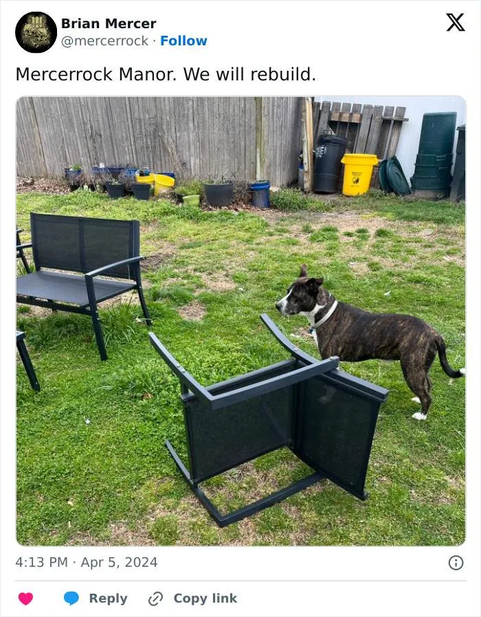 30 Hilarious Images From The &Quot;We Will Rebuild&Quot; Trend After The East Coast Earthquake