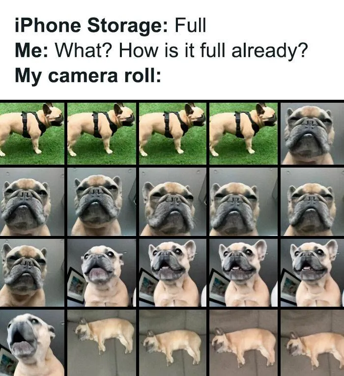 30 Random Memes For Your Amusement During Procrastination