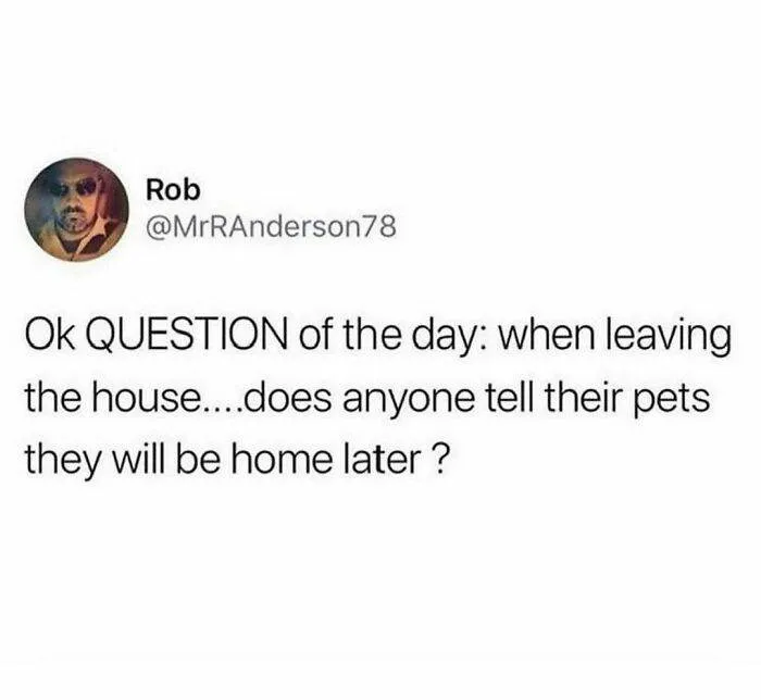 660E568Dc8875 244045824 1019215115314723 8924628898011104041 N 700