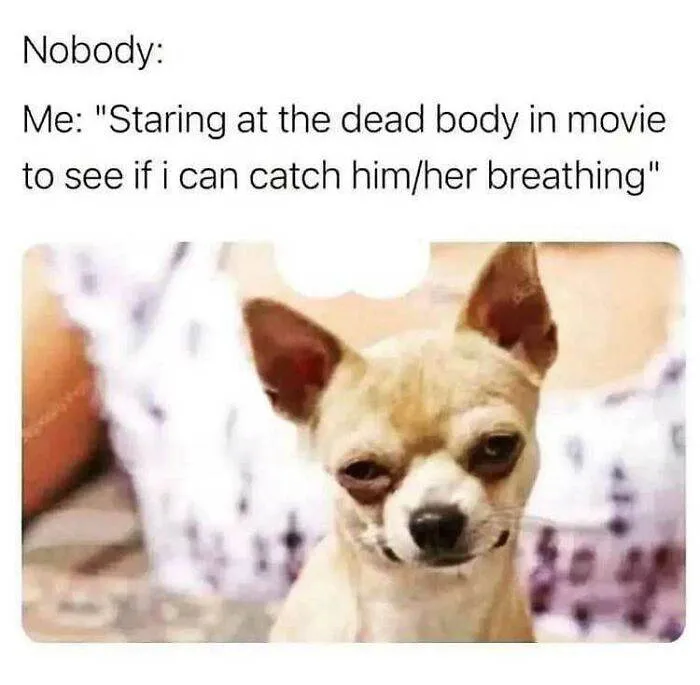 30 Random Memes For Your Amusement During Procrastination