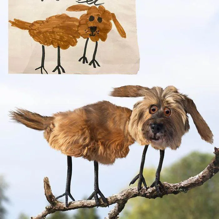 Dog Or Bird Drawing In Real Life 66075A9D6A144 700
