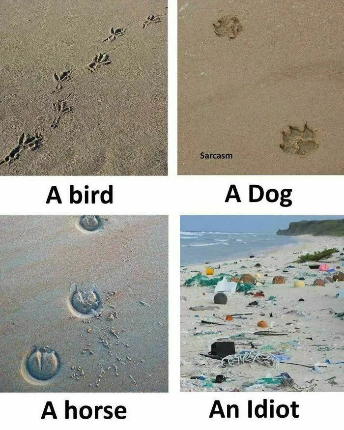 30 Assorted Memes And Comics