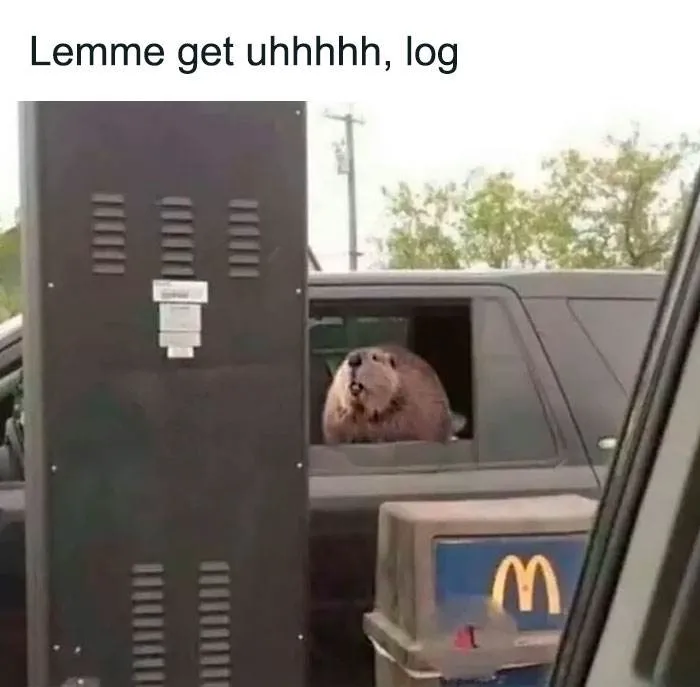 Funny Nice Relatable Memes 1 66011867250F5 700