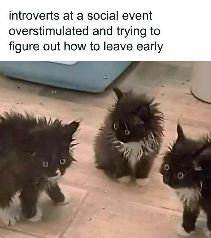 Funny Nice Relatable Memes 11 6601278Fa730D 700