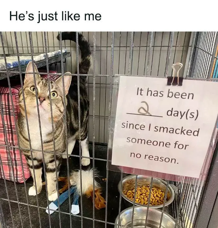 30 Memes Perfect For A Break And A Chuckle