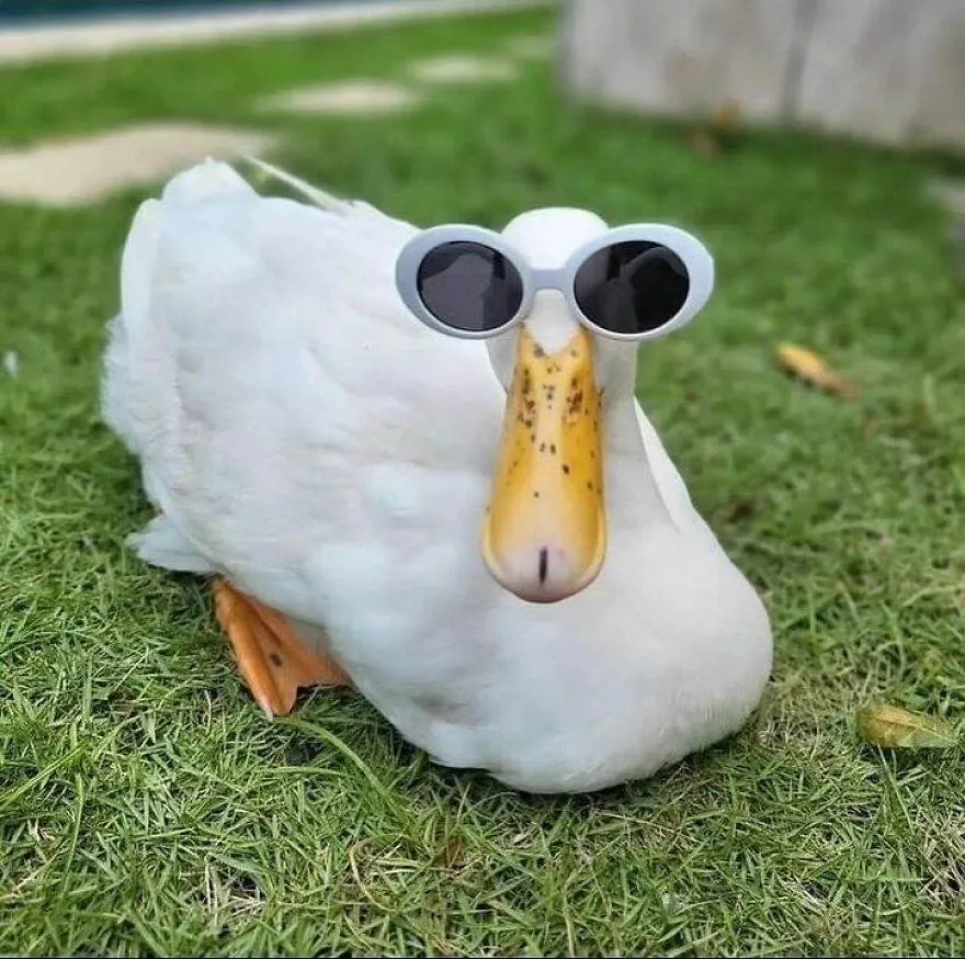 418617907 1591772294983234 1267059544282172528 N 663E31Ab6B65D 880