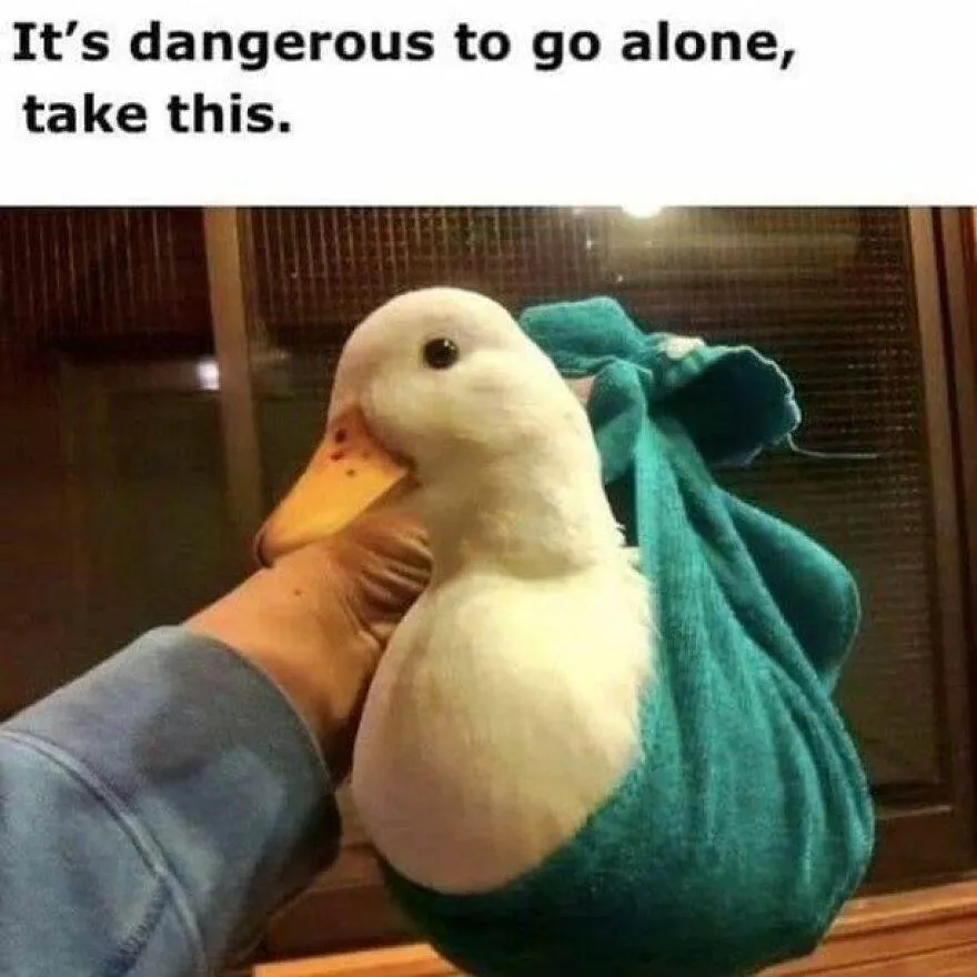 434336762 434326805651721 3555185777263541647 N 6641Ffee2109D 880