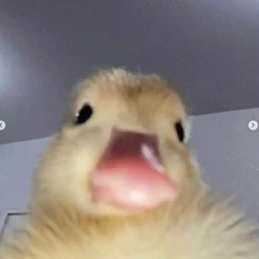 438862694 927378322417839 2433600386610427068 N 663E2E46C3789 880