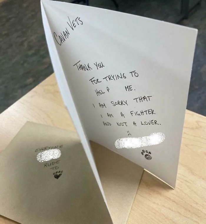 66194B05Ab5B0 Ehnt6Deal9Q61 700