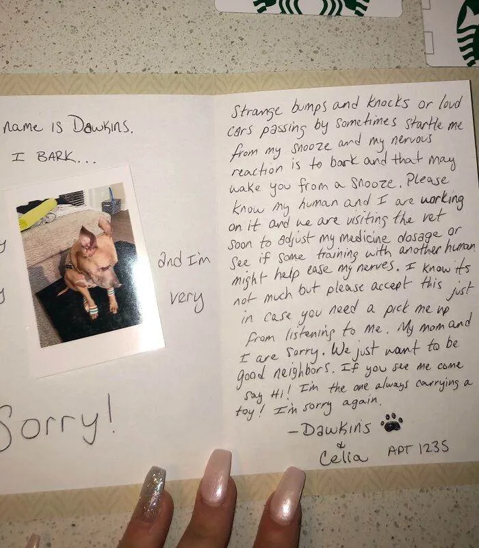 66333Adbca903 Hilarious Apology Notes