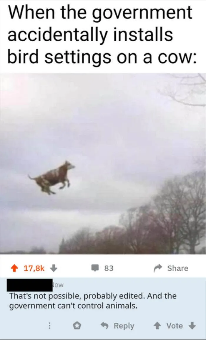 663B1D821F0F6 Blqd0Ltizya71 Png 700