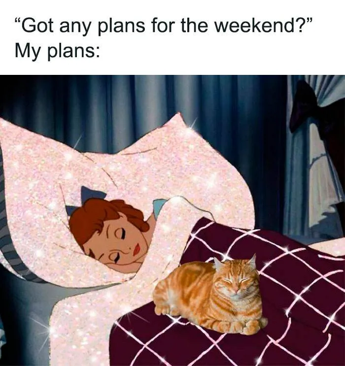 30 Hilarious Memes For Disney Fans And Everyone Who Loves A Good Laugh