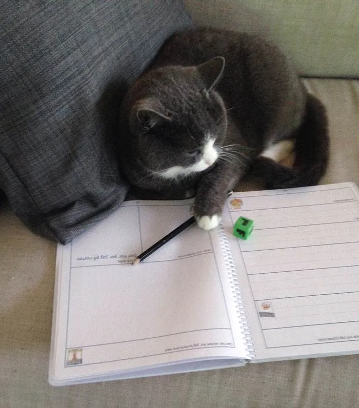 Funny Kids Jokes 11 662Bb70951C32 700