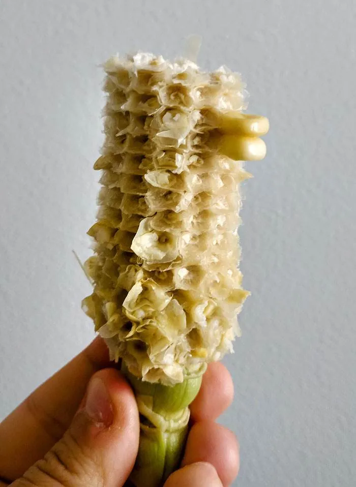 Funny Kids Jokes 84 662912A6Ad742 700