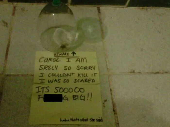 30 Hilariously Written Apology Notes Recipients Couldn't Resist Sharing