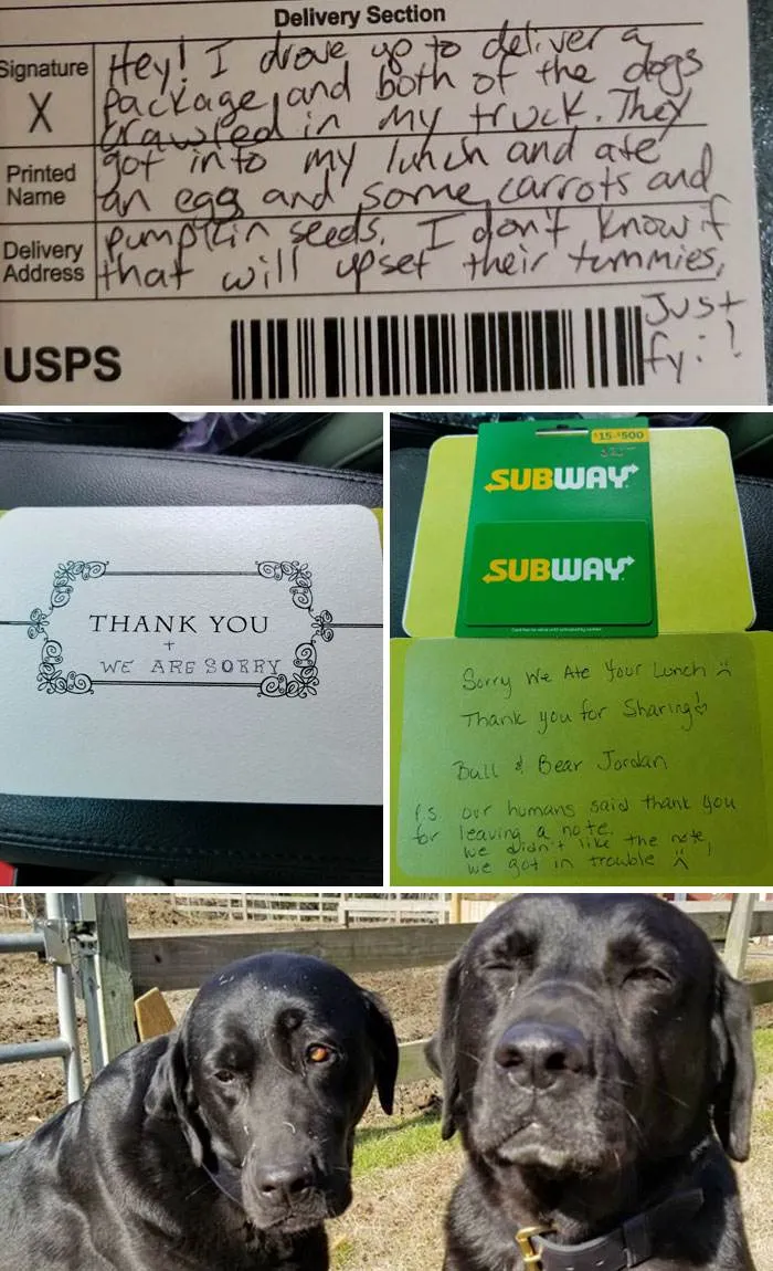 30 Hilariously Written Apology Notes Recipients Couldn't Resist Sharing