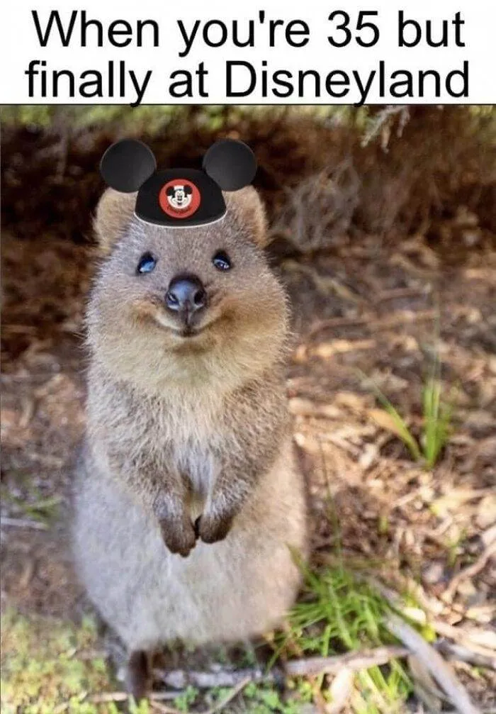 Pfbid02Vheujovmm2Trb42Mnhgofxva8Hmtqwq3Ztcm9641Gaa9Elujxfcuw6H8Ebykcht9L Png 700