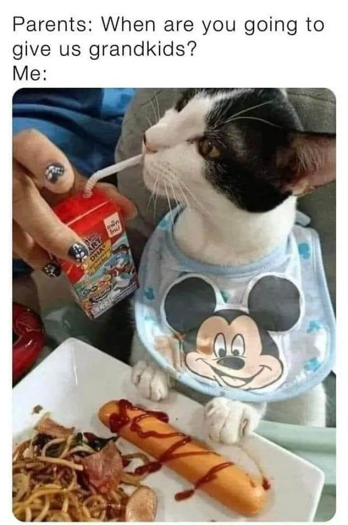 Pfbid0Egd9Ukyhdga1E6Lwk8Szayfsazwsgpuuzv65Uufuwdzczyu1R28Fjtfi5L9Zrdn3L Png 700