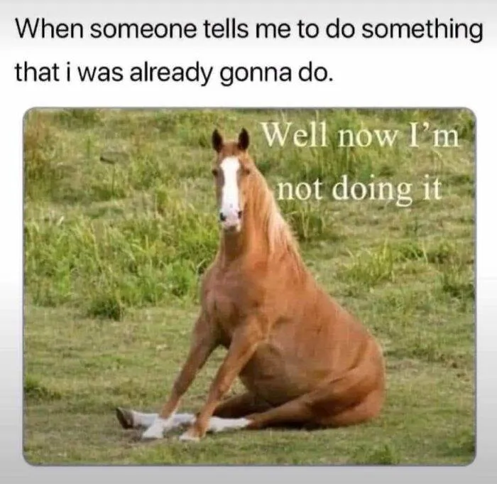 106 6666Aca2E8634 700