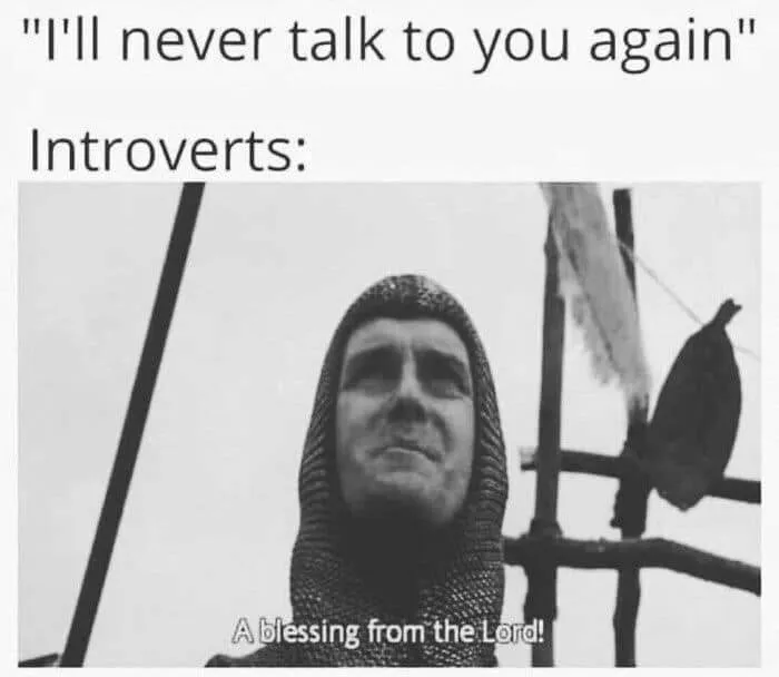 30 Funny Memes For People Who Prefer Their Own Company
