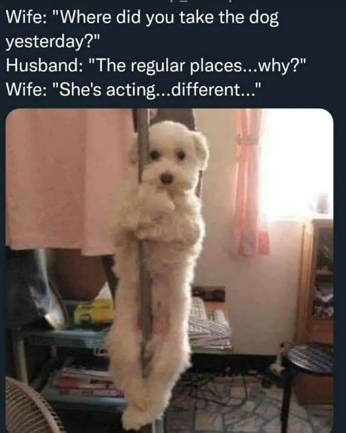 52 6666A767C5F90 700