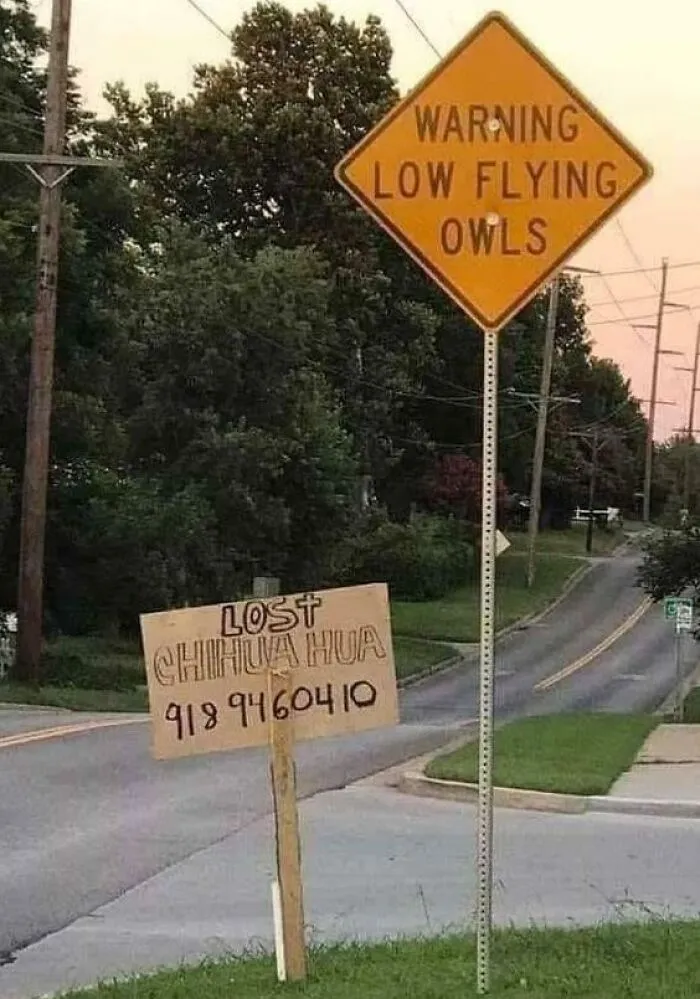 6659C44163C29 Weird Funny Signs