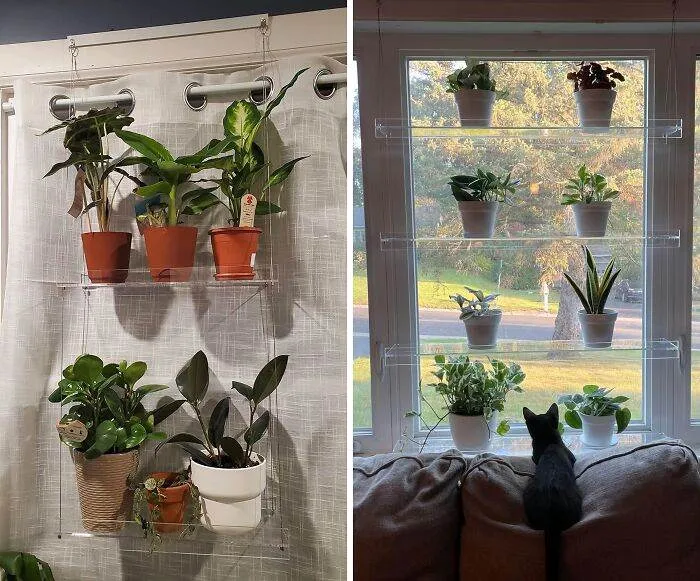 666002C59761B 100 Most Liked Panda Products